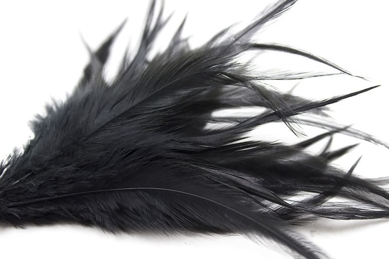 Feather - Image 2