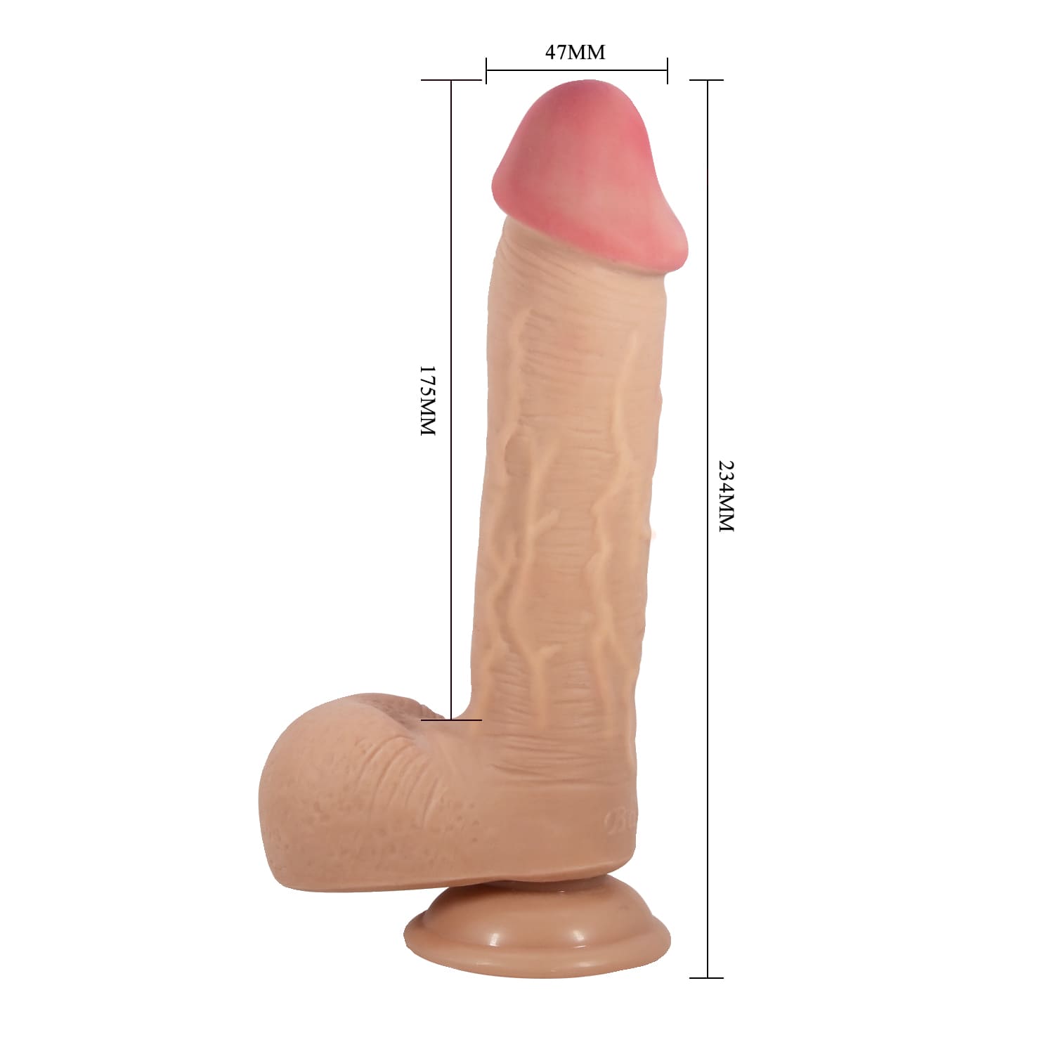 BAILE – Dildo - Image 4