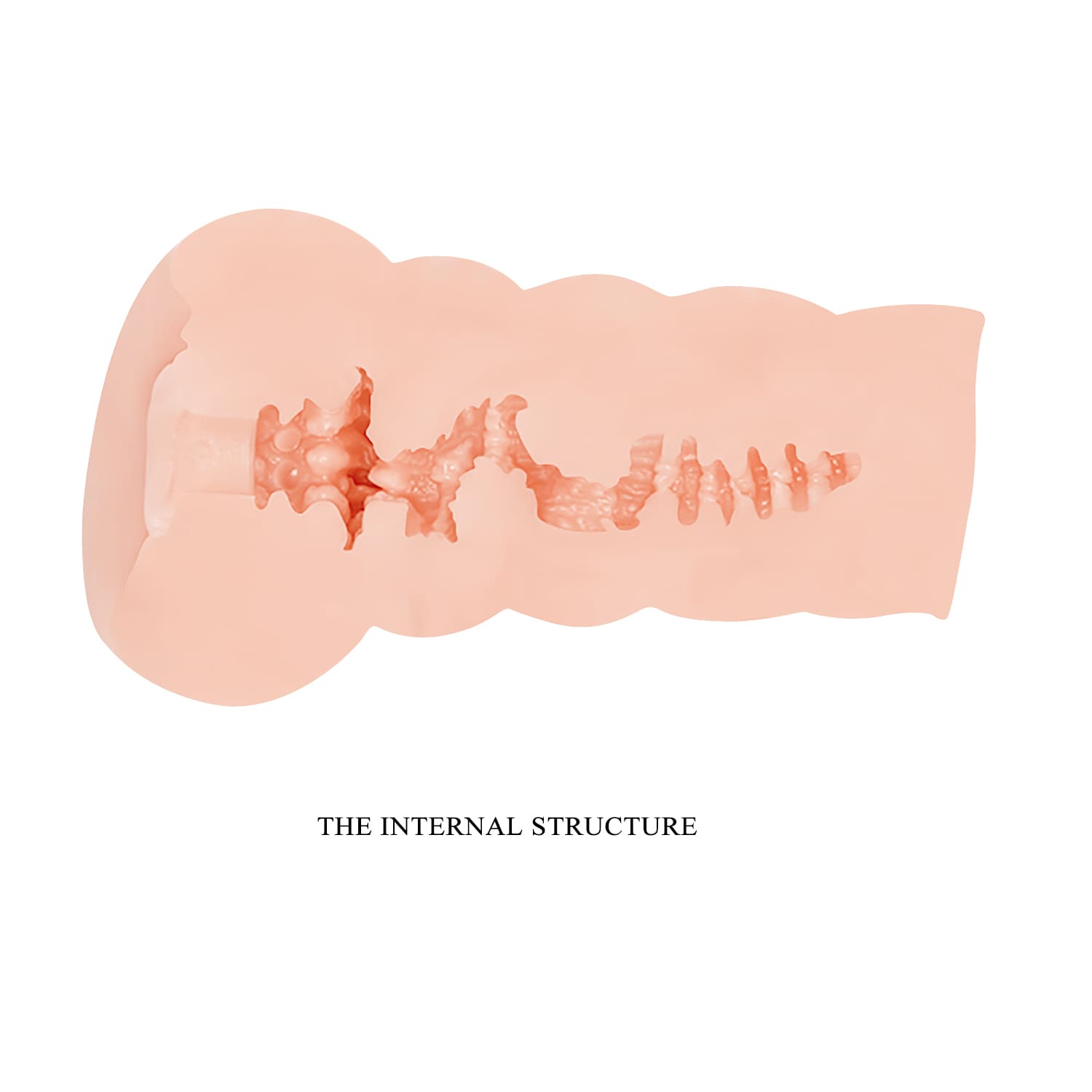 Crazy bull - Moira - Image 7